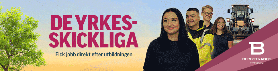 Bergstrands gymnasiium